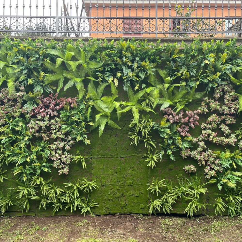 image00006